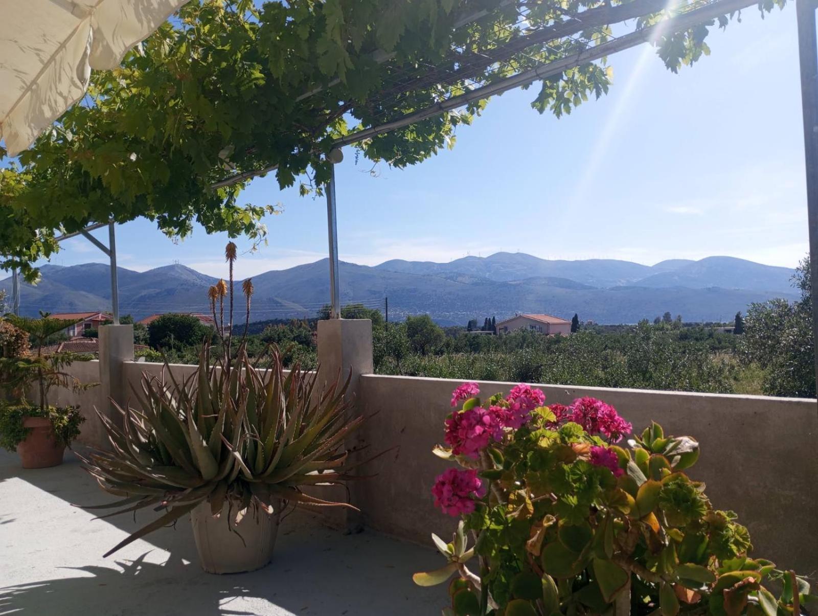 Babi'S Villa - Garden Apartment Ληξούρι Εξωτερικό φωτογραφία